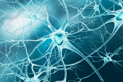 Trastornos-Neurologicos-Actualizacion